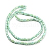 Glass Beads Strands EGLA-P052-03C-01-2