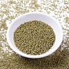 MIYUKI Delica Beads SEED-J020-DB2046-2