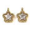 304 Stainless Steel Micro Pave Cubic Zirconia Charms LS-STAS-K302-01A-G-1