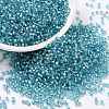 Cylinder Seed Beads X-SEED-H001-G14-1