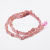 Natural Strawberry Quartz Beads Strands G-F521-43-2