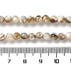 Natural Freshwater Shell Beads Strands X-SSHEL-B002-15-4