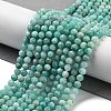 Natural Amazonite Beads Strands G-G140-A18-03-2