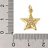 Rack Plating Brass Micro Pave Cubic Zirconia Pendants ZIRC-F142-41G-3