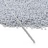 MIYUKI Round Rocailles Beads SEED-G007-RR0598-3