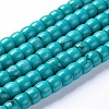 Natural Magnesite Beads Strands TURQ-G152-G02-1