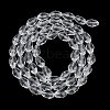 Transparent Glass Beads Strands EGLA-N013-T10mm-D01-2