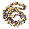 Electroplate Glass Beads Strands EGLA-N008-019-A04-2