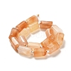 Natural Orange Botswana Agate Beads Strands G-N327-06-31-3