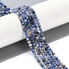 Natural Sodalite Beads Strands G-G139-A07-03-2