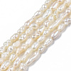 Natural Cultured Freshwater Pearl Beads Strands PEAR-N012-02F-3