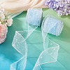 Polyester Deco Mesh Ribbons OCOR-TAC0024-004A-6