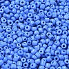 8/0 Glass Seed Beads X1-SEED-A010-3mm-43B-2