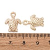 CCB Plastic Pendants CCB-I006-02KCG-04-3