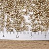 MIYUKI Delica Beads SEED-MY11-DB2396-4