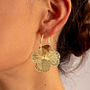 Alloy Hoop Earrings FS-WG33705-01-3