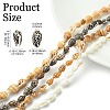 4 Strands 4 Colors Natural Freshwater Shell Beads Strands SHEL-CJ0001-38-2