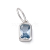 925 Sterling Silver Cubic Zirconia Charms STER-NH0014-01P-03-1