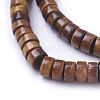 Natural Picture Jasper Beads Strands X-G-G783-10B-3