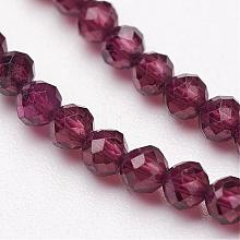 Natural Garnet Bead Strands G-P213-37-2mm