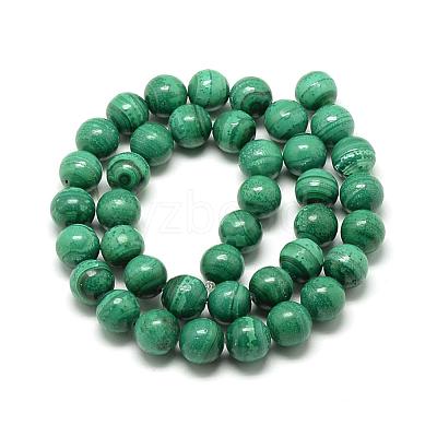 Natural Malachite Beads Strands G-R432-11-10mm-1