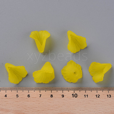 Transparent Acrylic Bead Caps X-PL551-C09-1