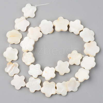 Natural Freshwater Shell Beads Strands SHEL-S276-84-1