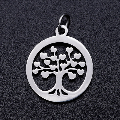 304 Stainless Steel Pendants STAS-T046-JA350-1A-P-1