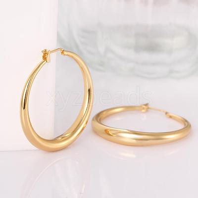 Adorable Design Ring Brass Hoop Earrings EJEW-BB07351-G-1