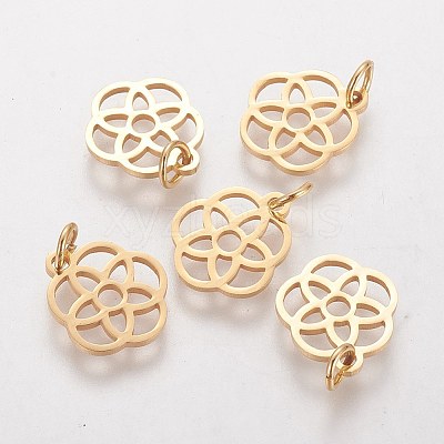 304 Stainless Steel Pendants LS-STAS-Q201-T454G-1