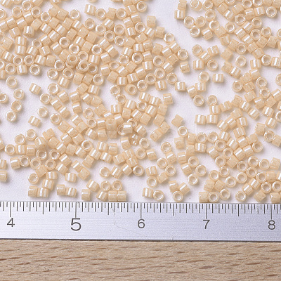 MIYUKI Delica Beads X-SEED-J020-DB0205-1