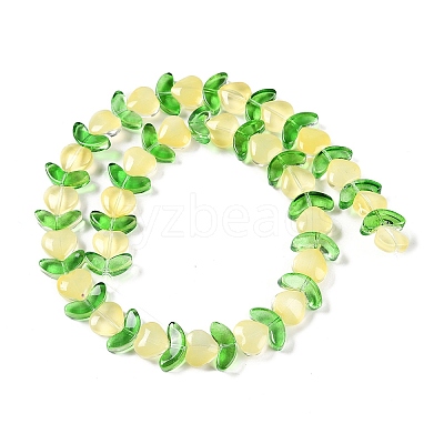 Transparent Glass Beads Strands GLAA-B021-04F-1