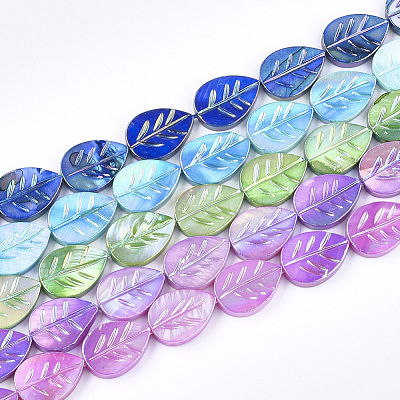 Freshwater Shell Beads Strands SHEL-S274-61-1
