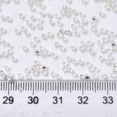 Glass Seed Beads SEED-S042-04A-06-1