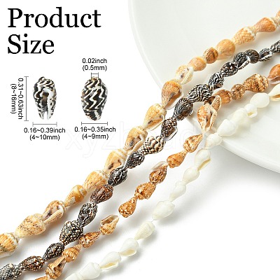 4 Strands 4 Colors Natural Freshwater Shell Beads Strands SHEL-CJ0001-38-1
