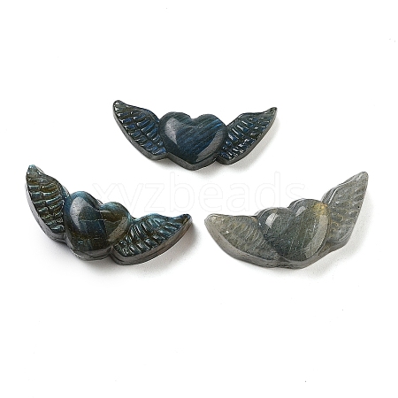 Natural Labradorite Carved Cabochons G-C152-07-1