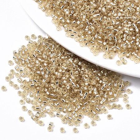 Glass Seed Beads SEED-S042-04A-05-1