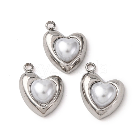 304 Stainless Steel Charms STAS-P406-11P-1