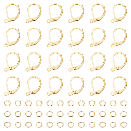 BENECREAT 40Pcs Brass Leverback Earring Findings KK-BC0013-03G-1