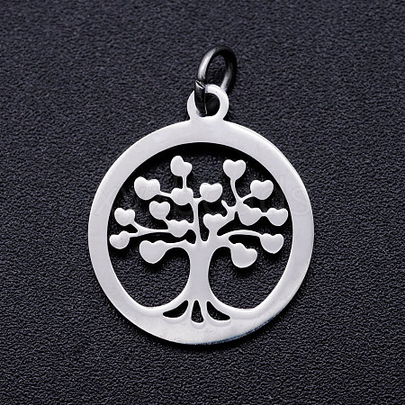 304 Stainless Steel Pendants STAS-T046-JA350-1A-P-1