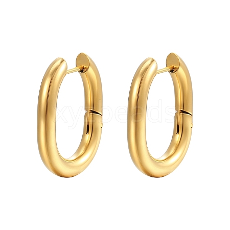 304 Stainless Steel Hoop Earrings PW-WG61766-01-1