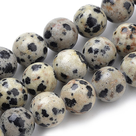 Natural Dalmatian Jasper Beads Strands G-S259-24-8mm-1