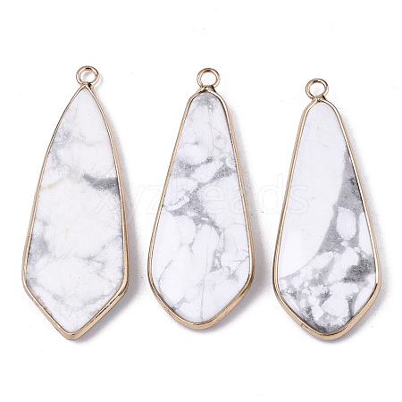 Natural Howlite Pendants G-S359-108H-1