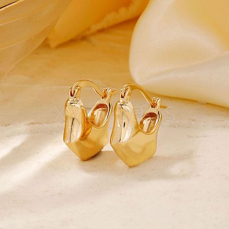 Elegant Bag Brass Hoop Earrings SK8692-1-1