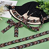   10M Ethnic Style Embroidery Polyester Ribbons OCOR-PH0001-69-3