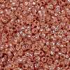 MIYUKI Round Rocailles Beads SEED-X0056-RR0642-3
