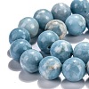 Natural Gemstone Beads Strands X-G-L367-01-6mm-5