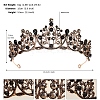 Alloy Rhinestone Hair Bands  for Woman Girls PW-WGA69DD-08-1