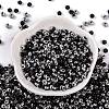 Glass Seed Beads SEED-A032-06P-2