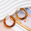 304 Stainless Steel Acrylic Hoop Earrings FS-WG57303-02-1